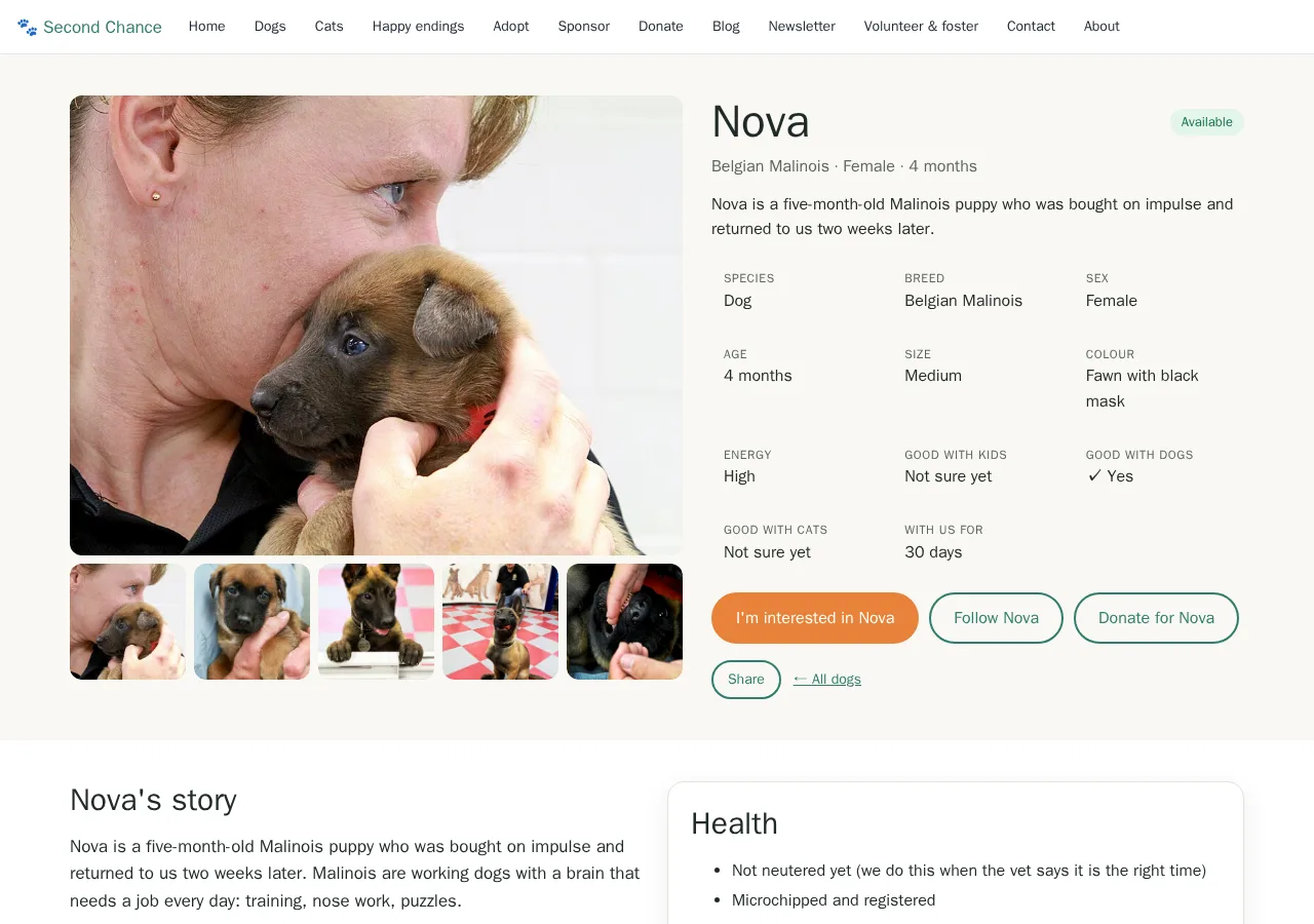 An animal's page with photos, details and "I'm interested"